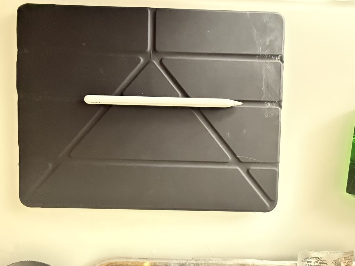 Apple Tablet PC: Ipad Pro mit Stift und Hülle – Usato da Bonaduz venduto da Avenada