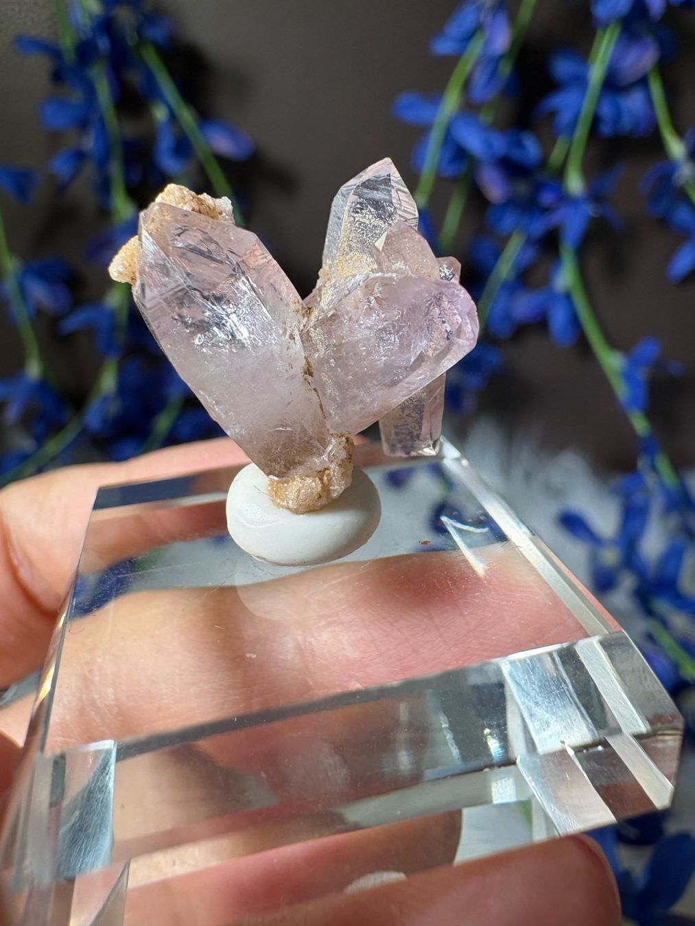 Pietre preziose: Veracruz Amethyst – Nuovo (secondo la descrizione) da Neuheim venduto da m.hald 6