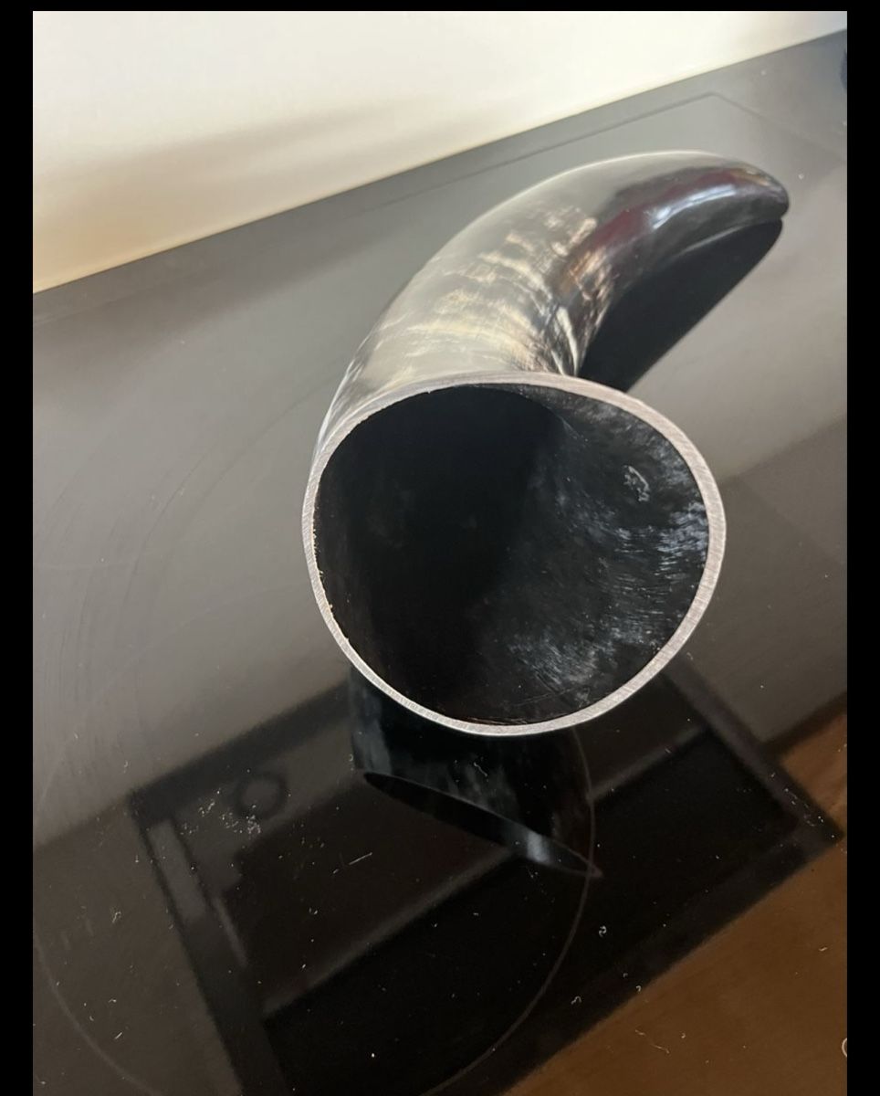 Tutte le decorazioni: Grosses Horn Deko 43cm – Nuovo (secondo la descrizione) da Binningen venduto da mar_nz5s 3