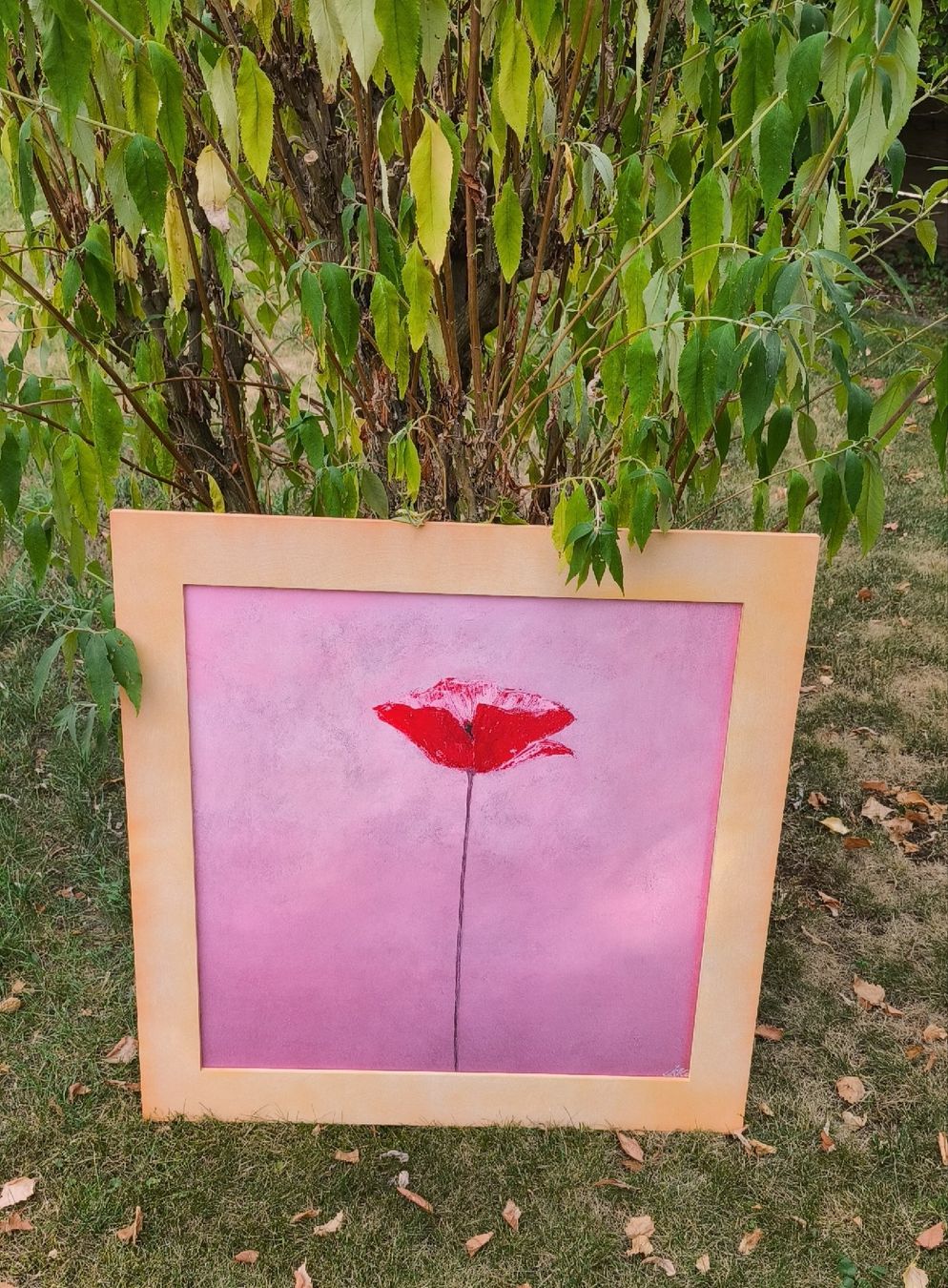 Foto & Immagini: Gemälde Mohnblume abstrakt moderner Stil gerahmt 72x72cm – Usato da Herzogenbuchsee venduto da Mstra