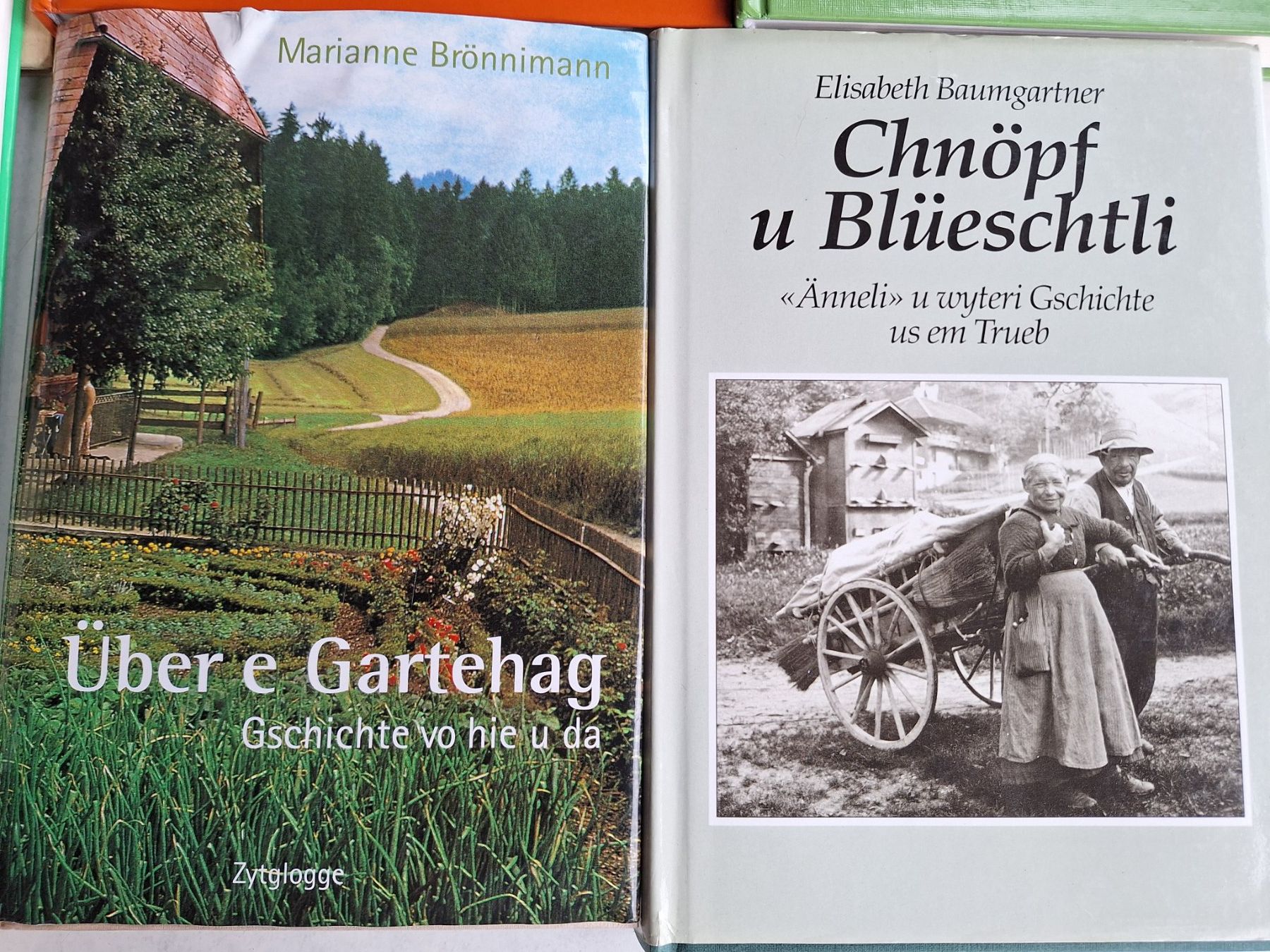 Libri: 10 STK BÜCHER BUCH MUNDART – Usato da Huttwil venduto da Kunterbuntli 4