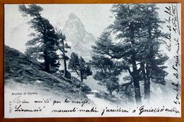 Zermatt - Le Cervin 1902