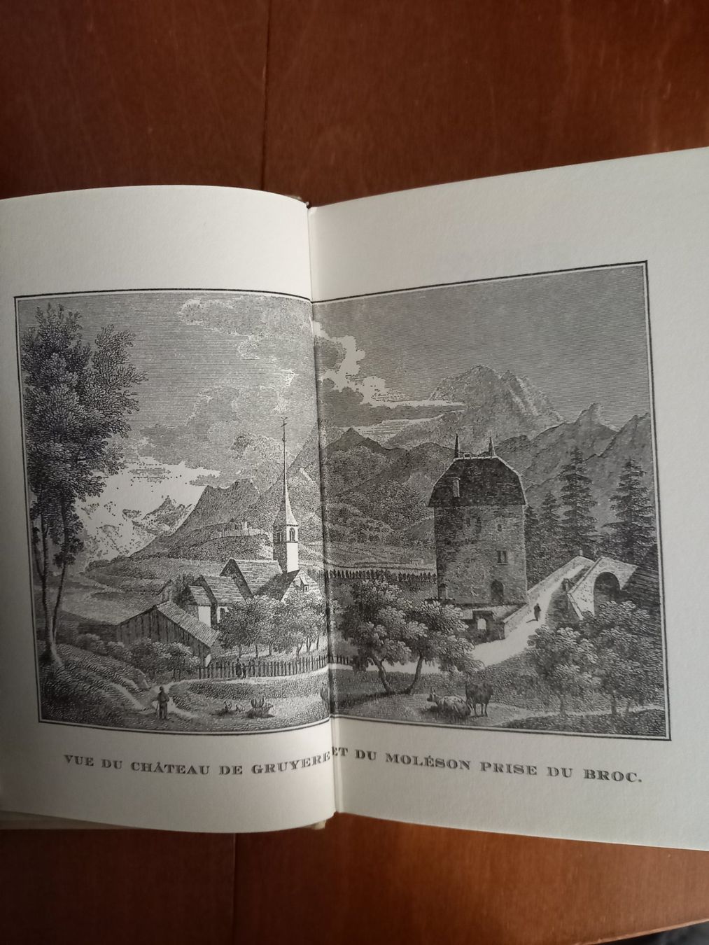Libri: Course dans la Gruyère – Usato da Neuchâtel venduto da Dualseele 1