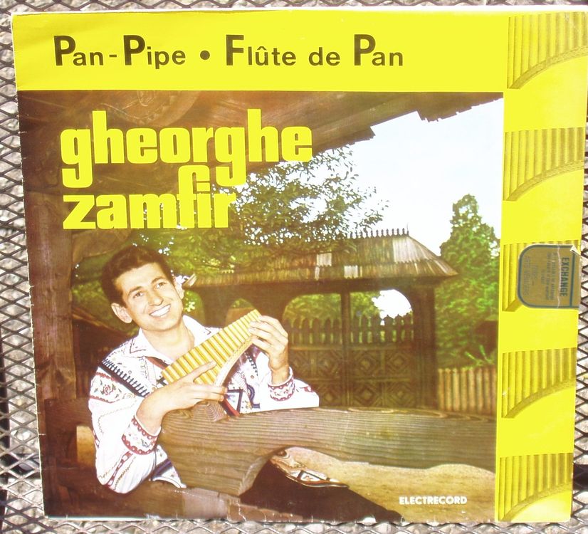 ZAMFIR Flûte de pan panpipe Kaufen auf Ricardo