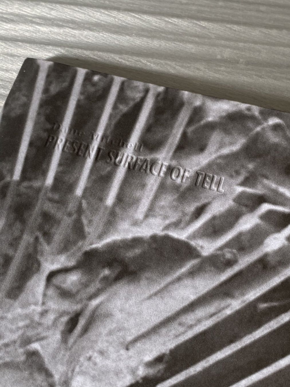 Libri: present surface of tell - Dane Mitchell – Usato da Zürich venduto da Abost 1