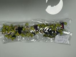 17 Chamäleon sammlerfiguren