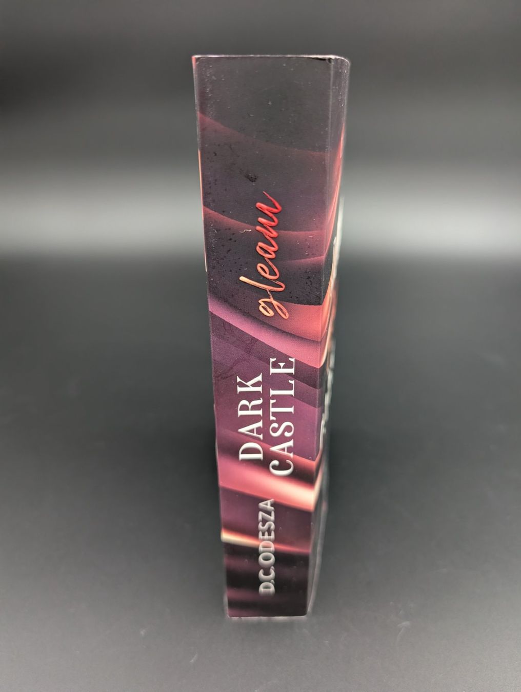 Libri: D.C. Odesza: Dark Gleam Castle – Usato da Wiezikon b.Sirnach venduto da CaRo_Second 1