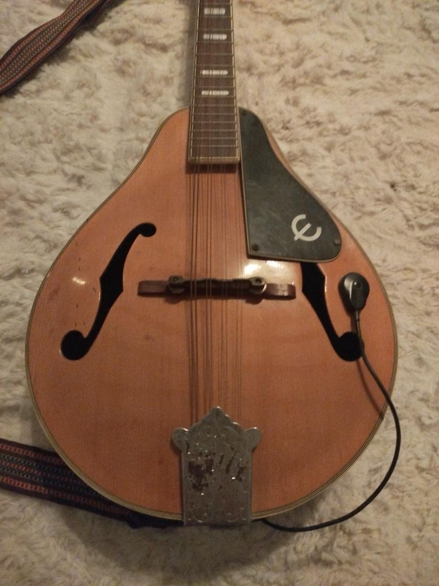 Epiphone Strumenti musicali: Vintage Epiphone Mandoline – Usato da Schönenbuch venduto da ElStigg 3