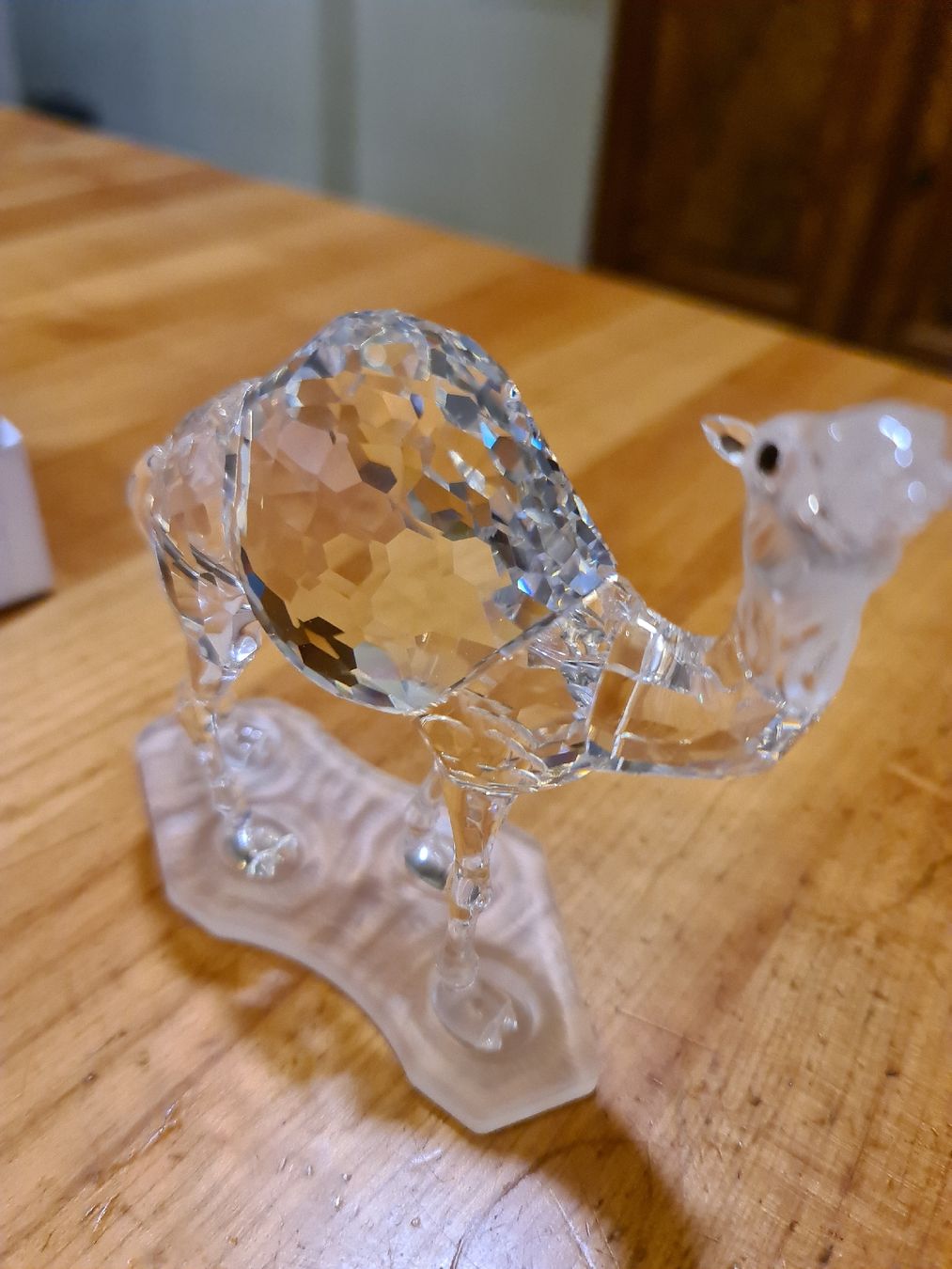 Swarovski Statuette: Swarovski Figur Kamel Originalverpackt  – Usato da henau venduto da Rockj 2