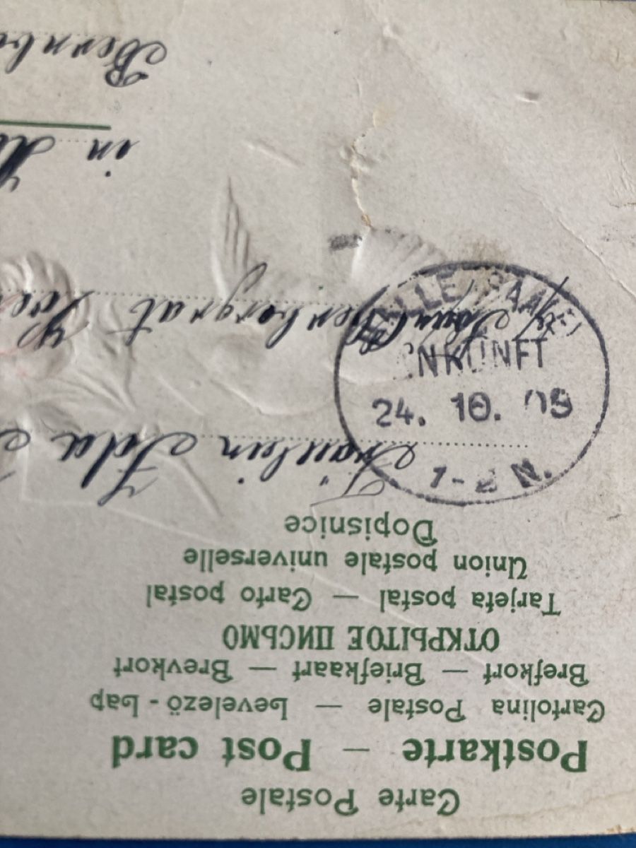 Cartoline postali: Antike Postkarte mit Taube – Usato da Schüpfheim venduto da Seerose80 2