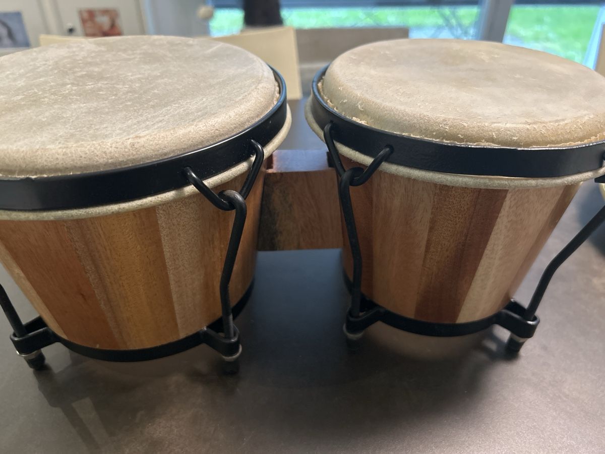 Strumenti musicali: Bongo Trommeln  – Usato da Wettingen venduto da Trini16 2
