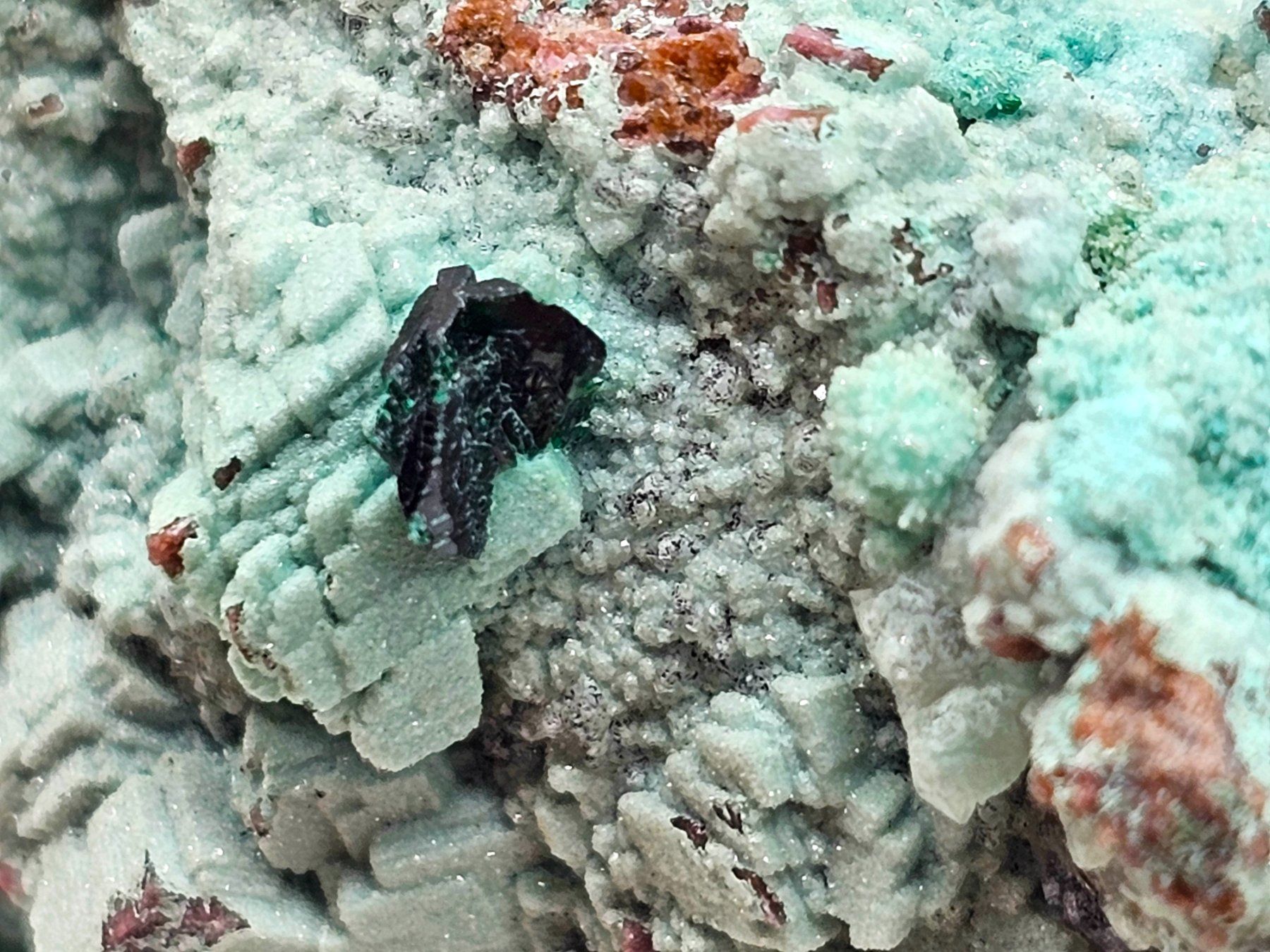 Minerali & Pietre curative: RaRe Euchroite on Chrysocolla, Mürtschenalp, Glarus – Usato da Figino venduto da minshop