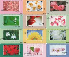 BLUMEN - 12 Kalender-Motiv Telefonkarten Serie aus Japan