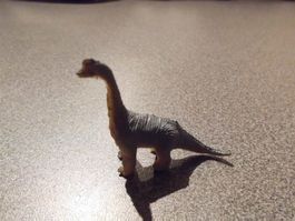 Dinosaurier langer Hals/grau, schwarz