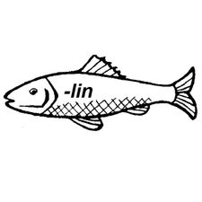 Profile image of Feusi01