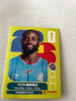 Panini World Cup 2026
