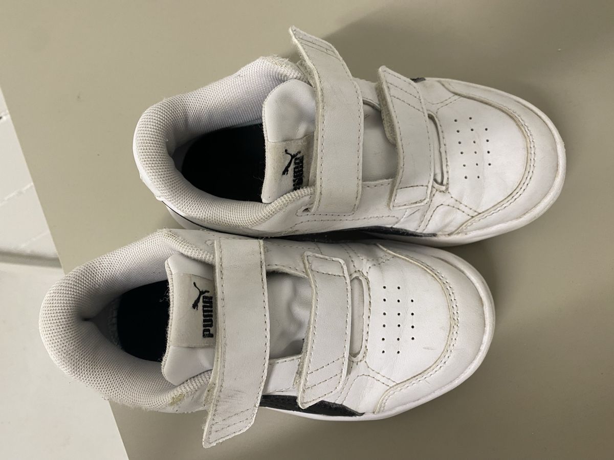 Puma Schuhe für Jungen: Puma Kinderschuhe Gr. 31 – Gebraucht aus Widen von juinl 1