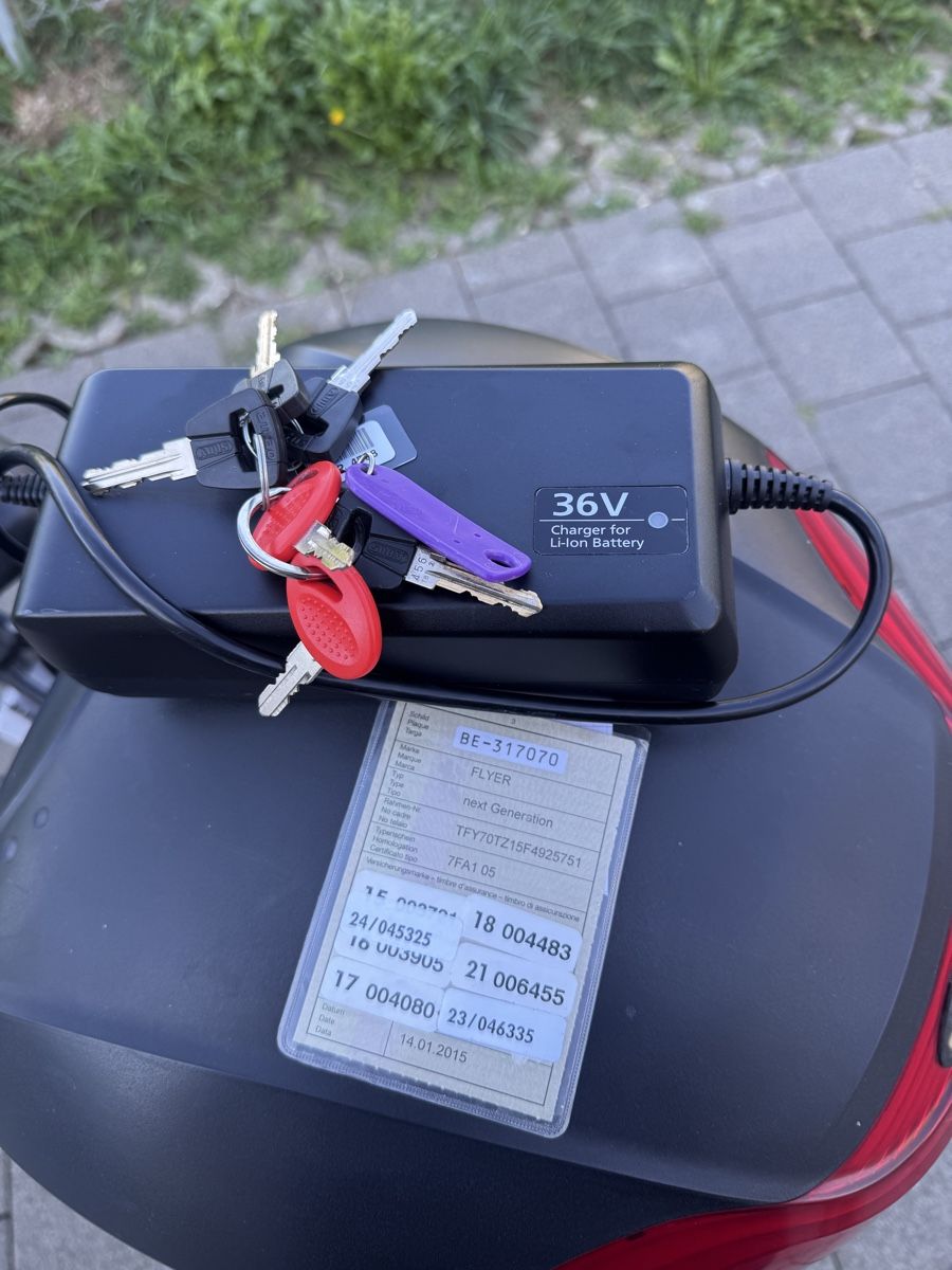 Flyer Biciclette: Flyer e-Bike Next Generation 45km/h – Usato da Steffisburg venduto da mer_jv9f 3