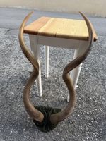 Gewei, Naturdeko, Jagdtrophäe,