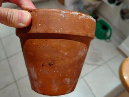 Pflanzentopf  13 cm Vaso Standard Terracotta Tonrot Deroma
