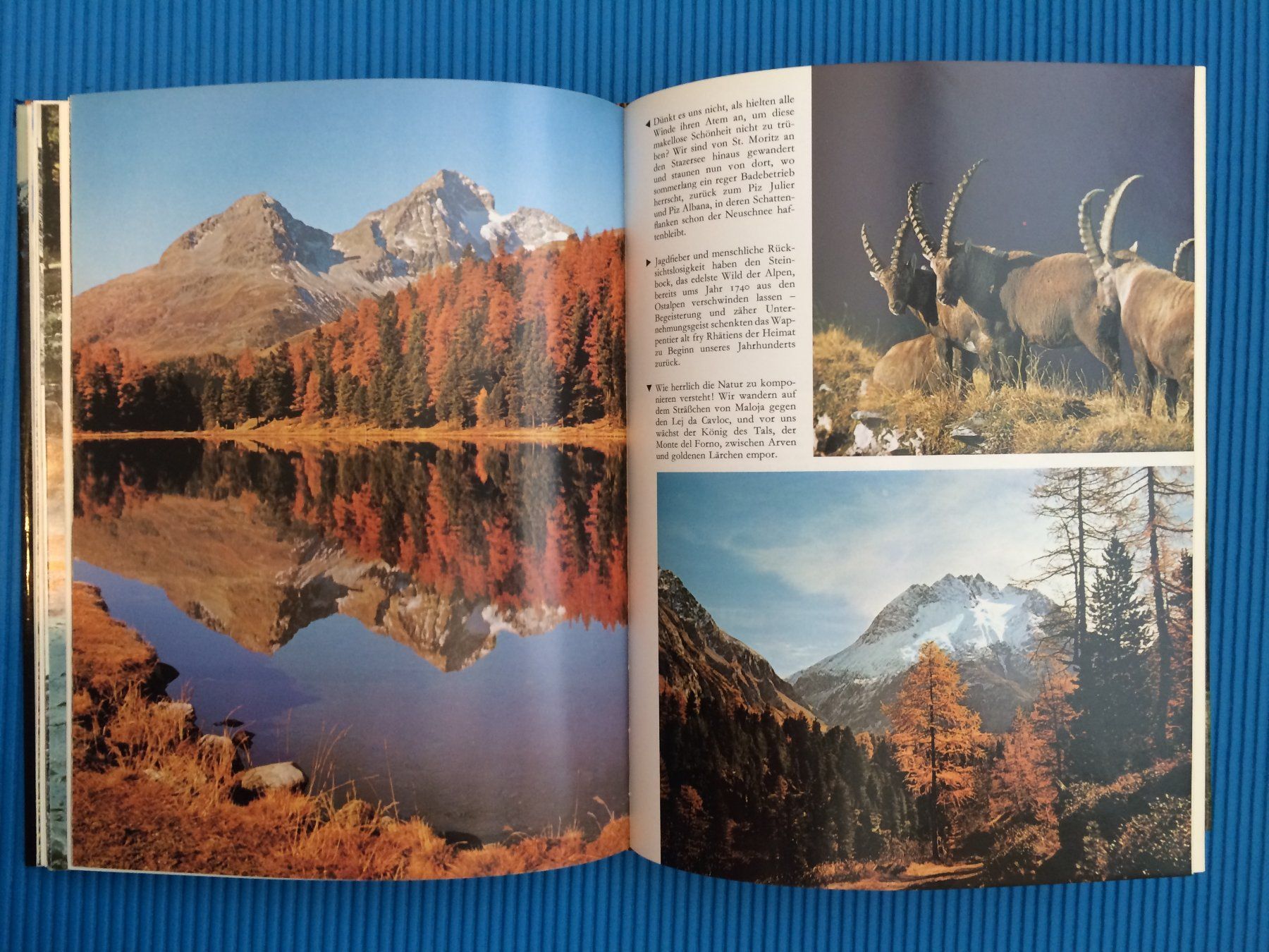 Libri: Natur-Wunder Schweiz – Usato da Wattwil venduto da Baschi77 7