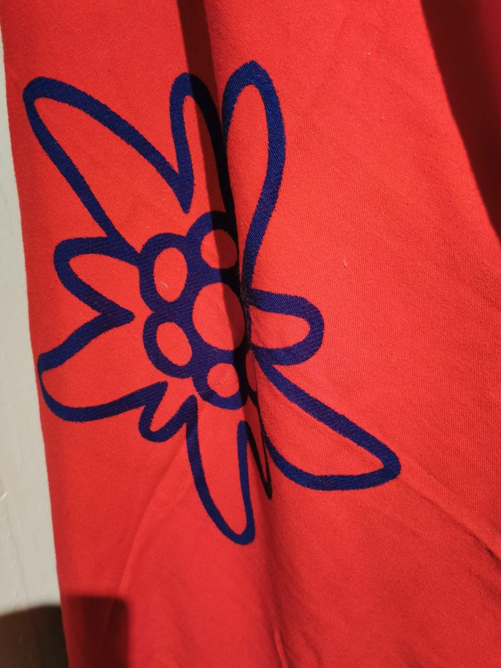 Coperte: Edelweiss Nachtdecke – Usato da Rupperswil venduto da greenangel4 1
