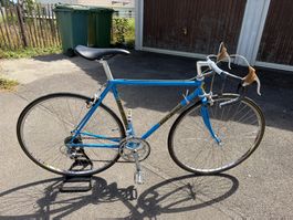 Koga Miyata Rennrad! Blau/Gold Vintage Renner