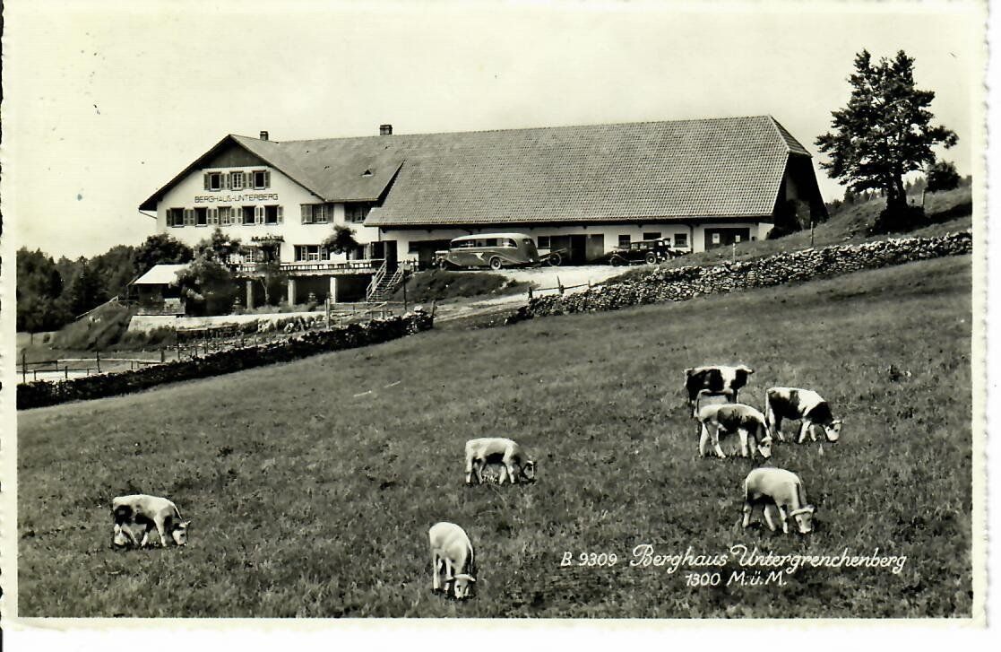 Cartoline postali: Berghaus Untergrenchenberg – Usato da Hochdorf venduto da Ziegel-16