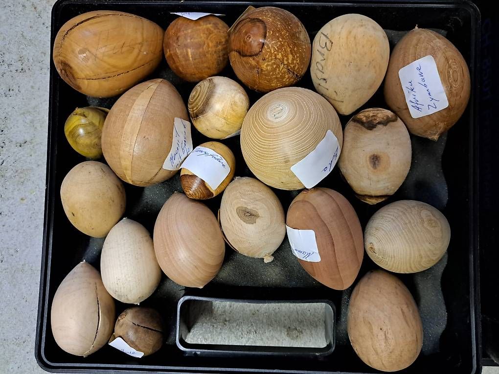 Holzartikel: Holzeier handgedrechselt – Neu (gemäss Beschreibung) aus Uznach von gartenri 2
