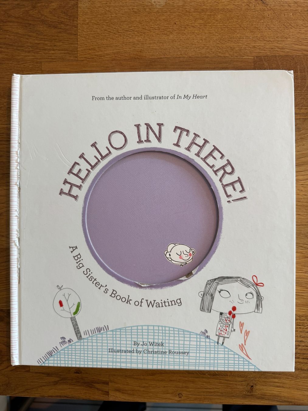 Libri: Hello in there - Book for kids,expecting a sibling – Usato da Fribourg venduto da BarbaraD