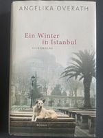 Ein Winter in Istanbul, Roman von Angelika Overath