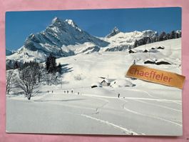 8784 Braunwald, Ortsstock