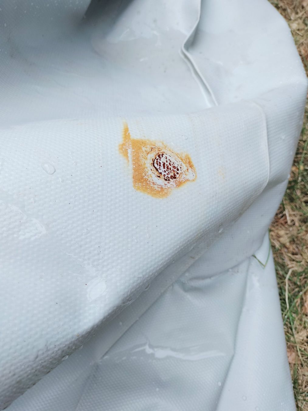 Sonstiges: Bâche PVC lourde – Gebraucht aus Villars-sur-Glâne von Tibloom 3