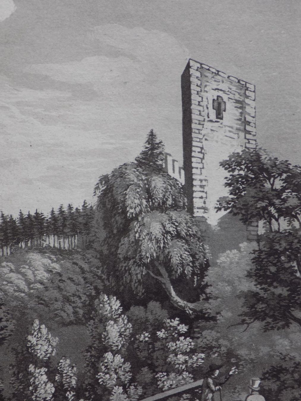 Incisioni: Castel Tägerwilen – Usato da Risch venduto da Rischli15 6