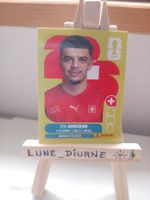 Stickers World Cup 2026 Panini FIFA Zeki Amdouni SUI20
