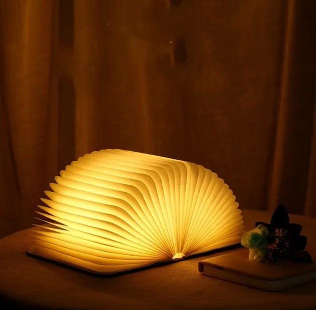 Lampade: Faltbare LED Buchlampe im Holz-Look – Nuovo e nell'imballaggio originale da Sins venduto da nushan 1