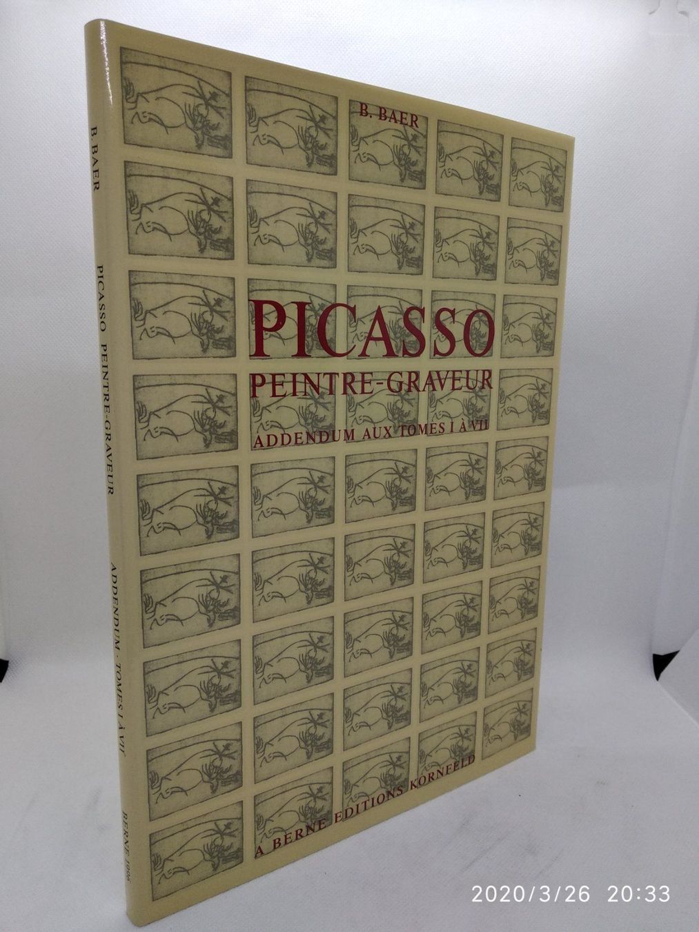 Libri: PABLO PICASSO WERKVERZEICHNIS – Usato da Goldach venduto da Gaip