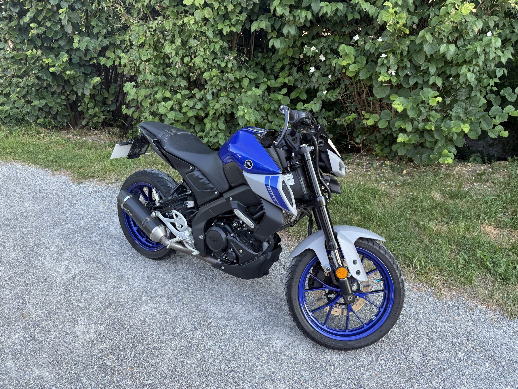 Strasse: Yamaha MT-125 ABS 2021 – Gebraucht aus Ganterschwil von ja1313nis