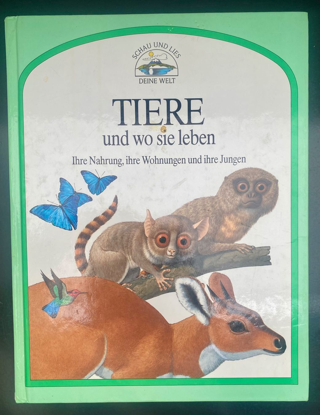 Bücher: KINDERBUCH "Tiere und wo sie leben" – Gebraucht aus Uster von Koralle6 1