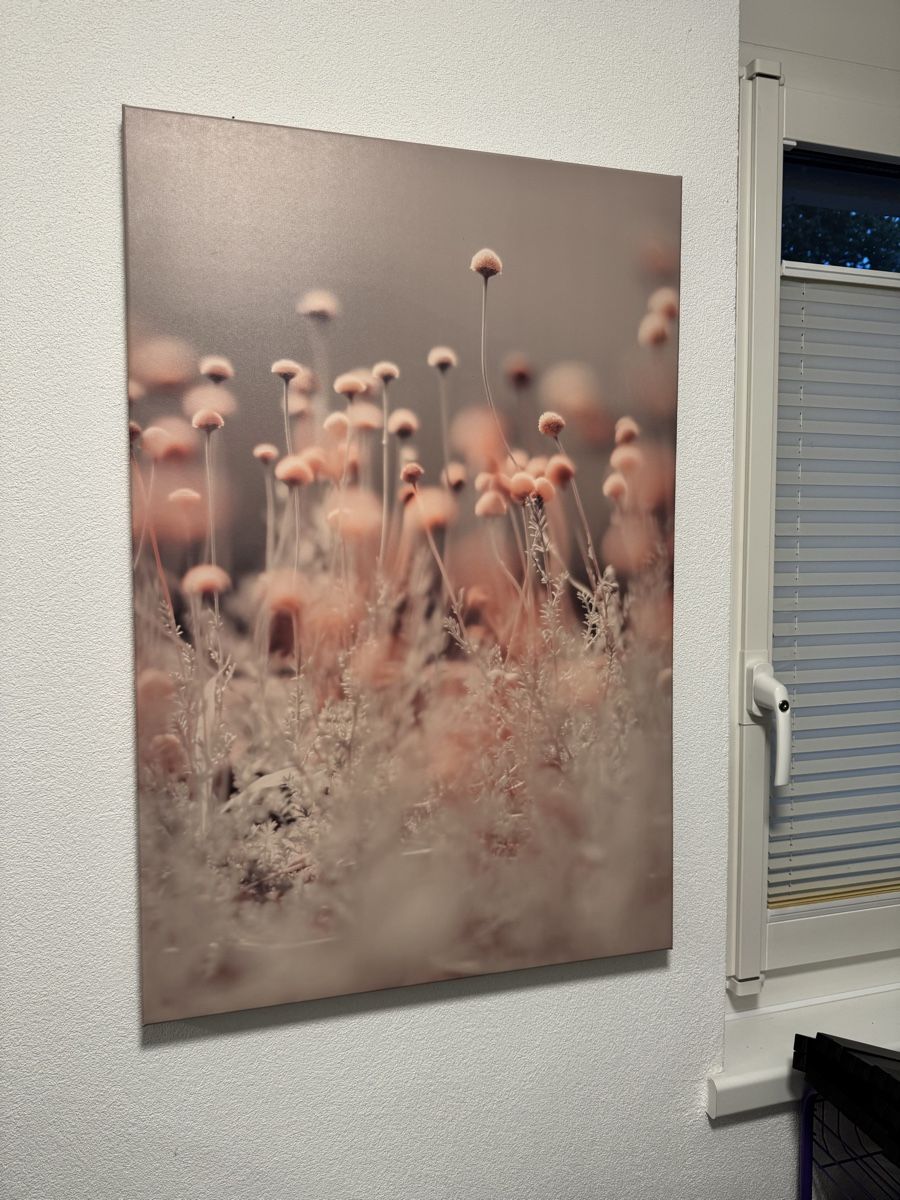 Foto & Immagini: Leinwandbild 60x90cm – Usato da Buchs ZH venduto da claudiac76 2
