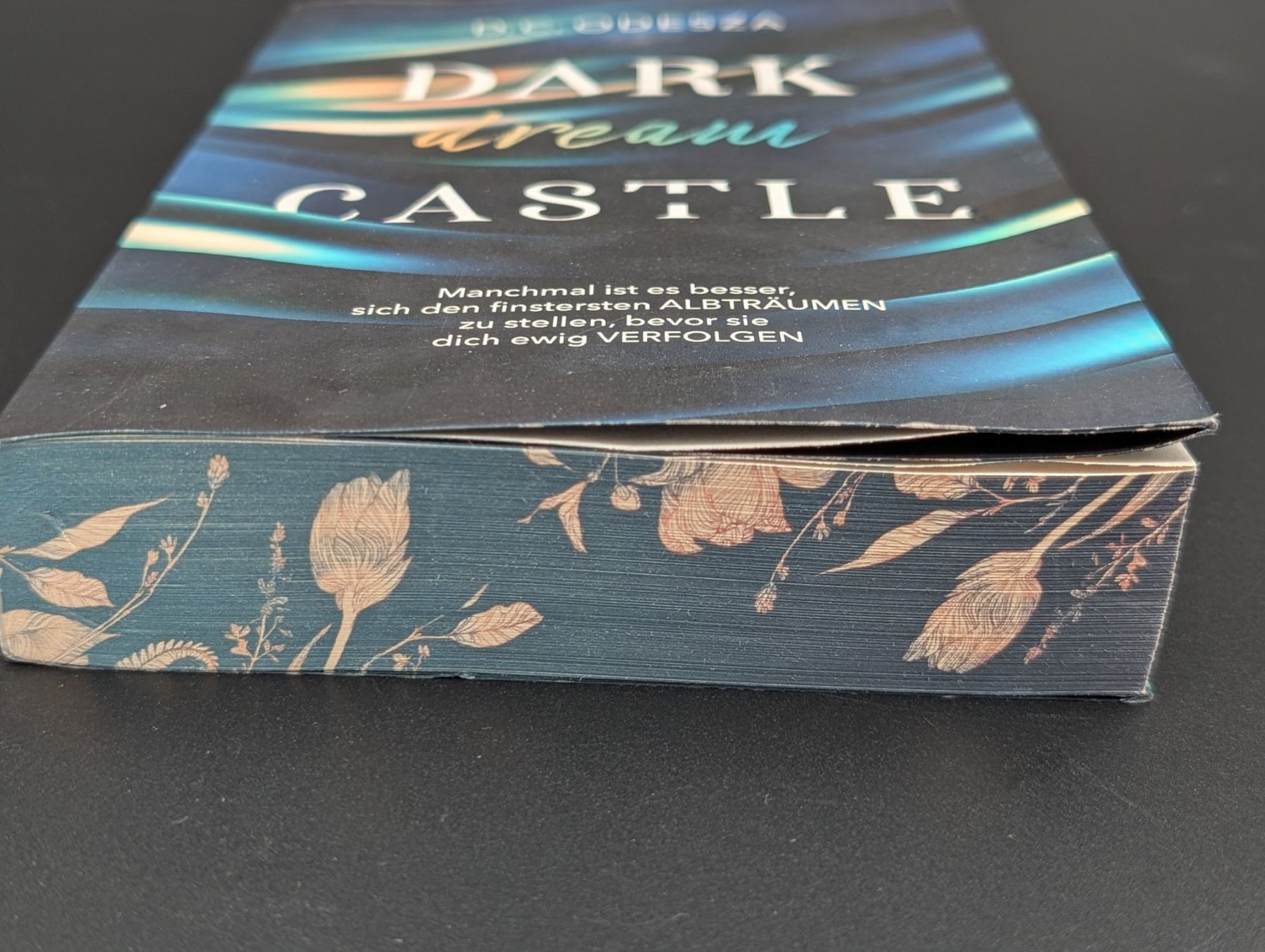 Livres: D.C. Odesza: Dark Dream Castle – D'occasion à Wiezikon b.Sirnach par CaRo_Second 4
