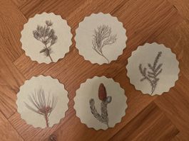 5er Set Untersetzer mit Waldmotiven, neu!