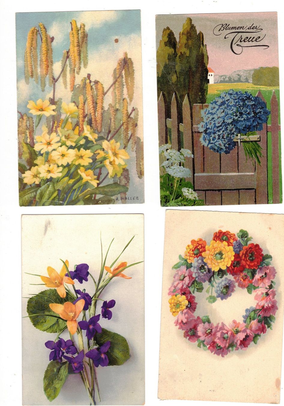 Cartoline postali: Blumen 34 Ansichtskarten 34 AK – Usato da Widnau venduto da Seppl480
