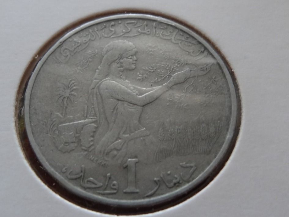 Tutti le monete: TUNISIE  1  Dinar  1983 – Usato da Romanel-sur-Lausanne venduto da Swift13 1