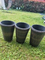 3er Set: Elegante Rattantöpfe für den Garten - gebraucht