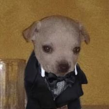 Profile image of ori_nsj2