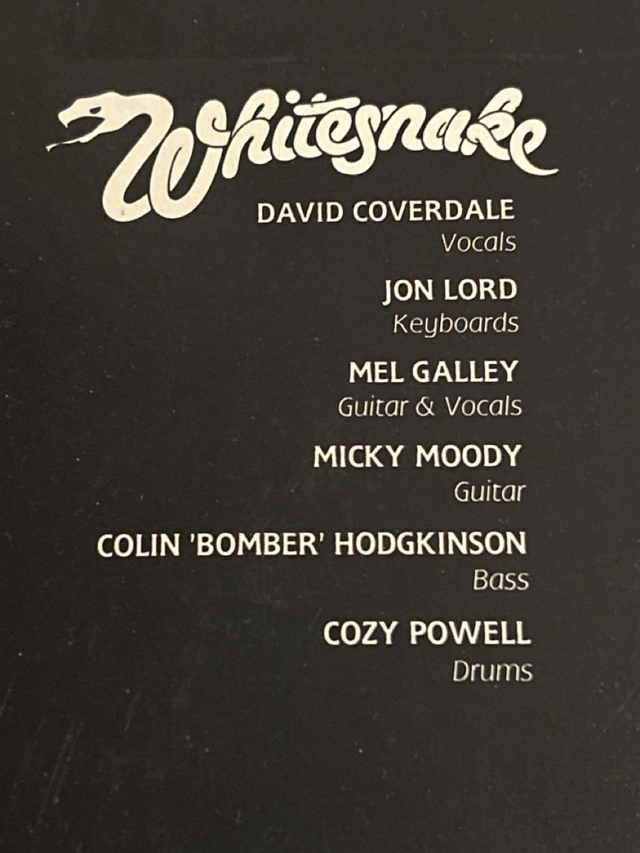 Dischi in vinile: Whitesnake. 1984. Slide It In – Usato da Faulensee venduto da Mizuno06 6