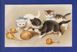 CHAT - Chatons et oignons // pli //