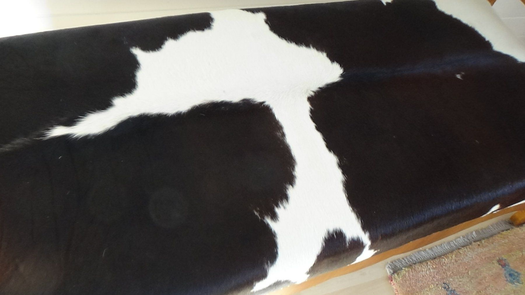 Sedie a sdraio: Antike Liege / Recamier Sofa – Usato da Wiedlisbach venduto da Bobesch10 5