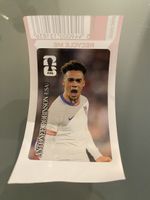 Panini Coca Cola WM 2026 Antonee Robinson